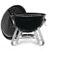 Kolgrill Napoleon Klotgrill NK14K-L