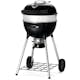 Kolgrill Napoleon Klotgrill PRO18K-L-3