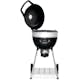 Kolgrill Napoleon Klotgrill PRO18K-L-3