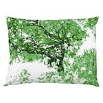 Örngott Arvidssons Textil Jakaranda