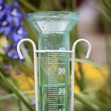 Regn & temperatur