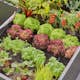 Micro-Drip Gardena Premiumpaket För Pallkrage med Vattenfördelare & Bevattningsdator