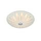 Plafond Markslöjd Petal