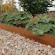 Planteringskant Flexigarden Corten 120 Rak