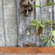 Planteringskant Flexigarden Corten 120 Rak