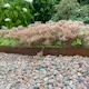 Planteringskant Flexigarden Corten 180 mm Rak