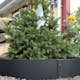 Planteringskant Flexigarden Svart Övergång 120-180 mm Kvartsbåge