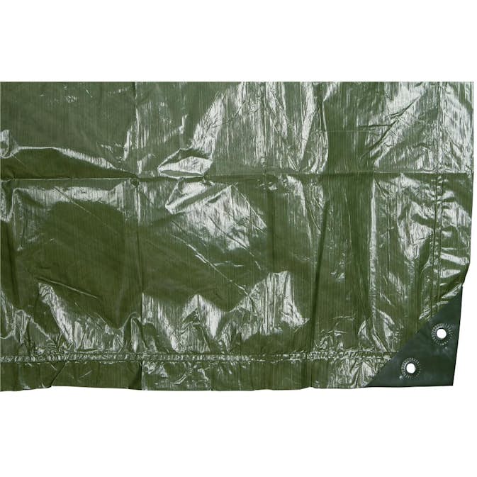 Presenning ETC 6x10m 90g Grön Supreme