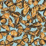 Tapet York Wallcoverings Urban Chic RK4444