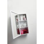 Spegelskåp Svedbergs Ny-50