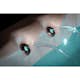 Swimspa Swebad Aqua Gym Max