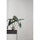 Tapet Ferm Living Ferm Living 174