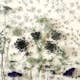 Tapet Fiona Botanic Garden 510332