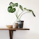 Tapet Fiona Living@HOME NW 491641