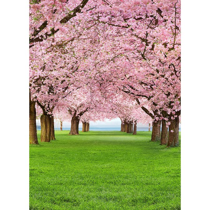 Tapet Idealdecor Cherry Trees