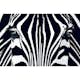 Tapet Idealdecor Giant Art Black & White I