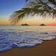 Tapet Idealdecor Non-Woven Pacific Sunrise