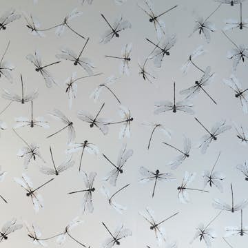Tapet Mimou Dragonfly Natural