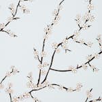 Tapet Mimou Kyoto Sky