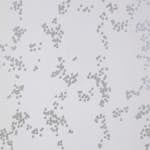 Tapet Mimou Rain Natural