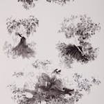 Tapet Mimou Toile Mesdames Black