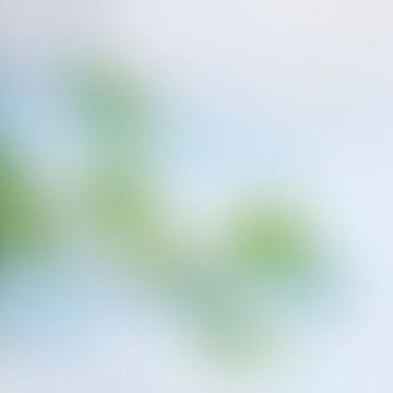 Tillval Elitfönster Frostat Glas