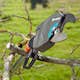Toppsax Gardena StarCut 410 Plus Teleskopisk