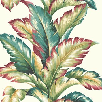 Tapet Wallquest Maui Maui TP81224