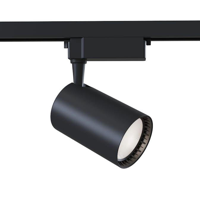 Spotlight Maytoni Track LED TR003