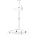 Golvstativ Mozi med hjul för 37-70 tum