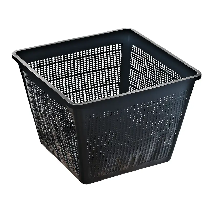 Inter Flower – Set di Cestini L Piante Acqua Piante 18 x 18 x 12 cm/per Inter Flower – Set di Cestini L Piante Acqua Piante 18 x 18 x 12 cm/per