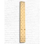 Pegboard Master Fitness