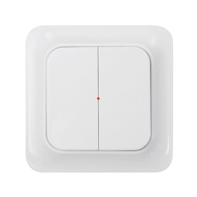 Väggsändare Nexa 2-kanal Trend