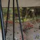 Hammock Varax Duetto Utomhus