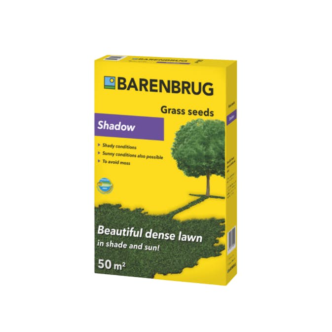 Gräsfrö Barenbrug Skugga