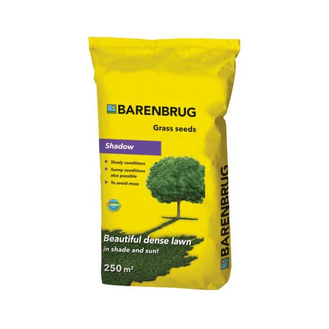 Gräsfrö Barenbrug Skugga
