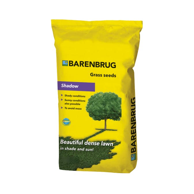 Gräsfrö Barenbrug Skugga