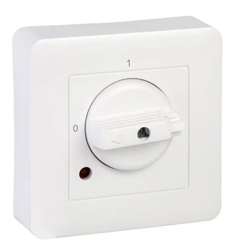 Tvättmaskinsbrytare Schneider Electric Exxact