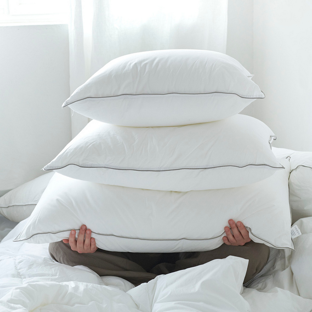 Hotellkudde Borganäs of Sweden