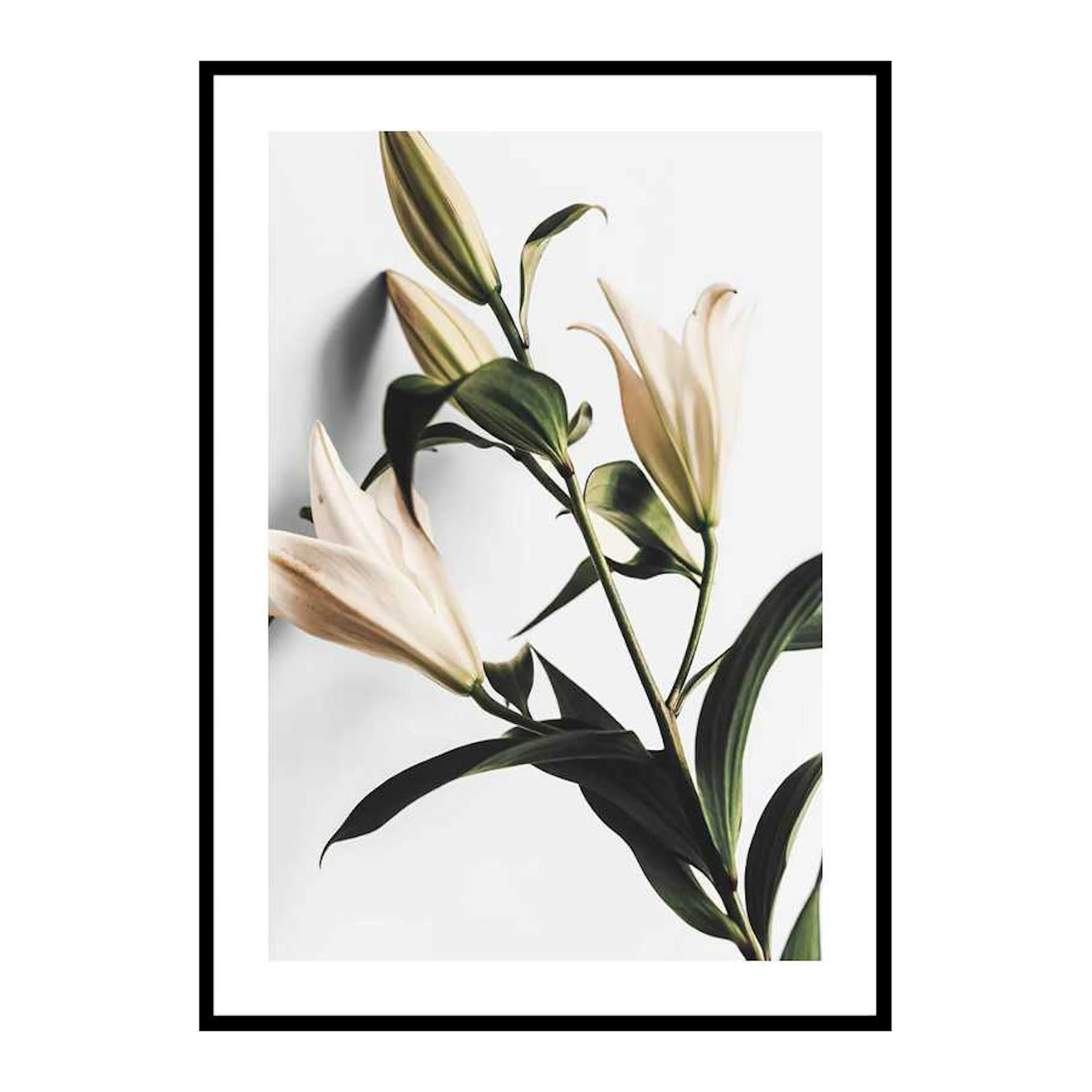 Lilies 50x70 cm