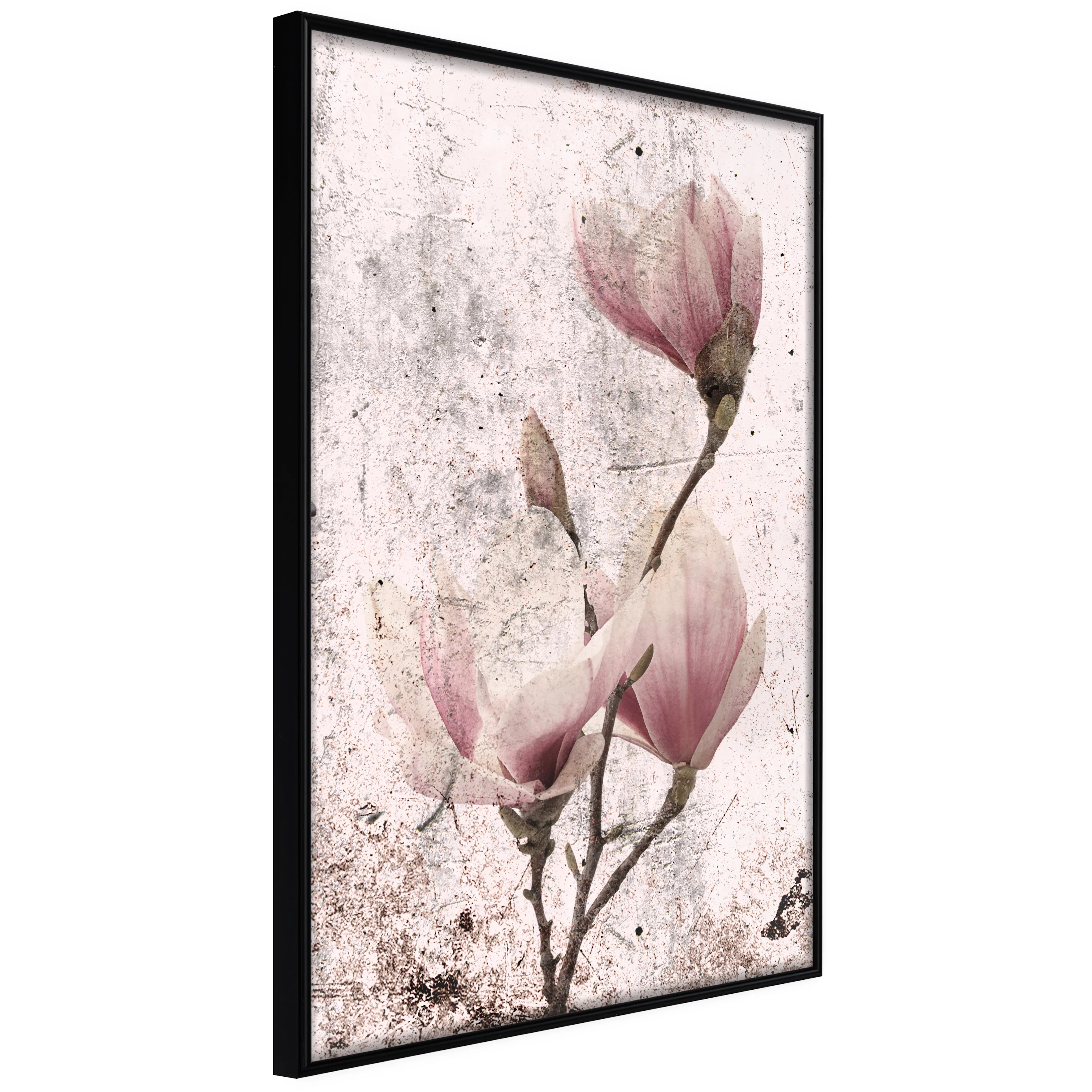 Affisch - Mature Magnolia [Poster] 20x30 Svart ram, 20x30 cm