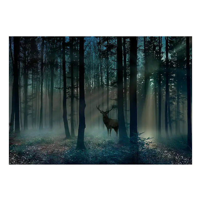 Fototapet Arkiio Mystical Forest - Third Variant