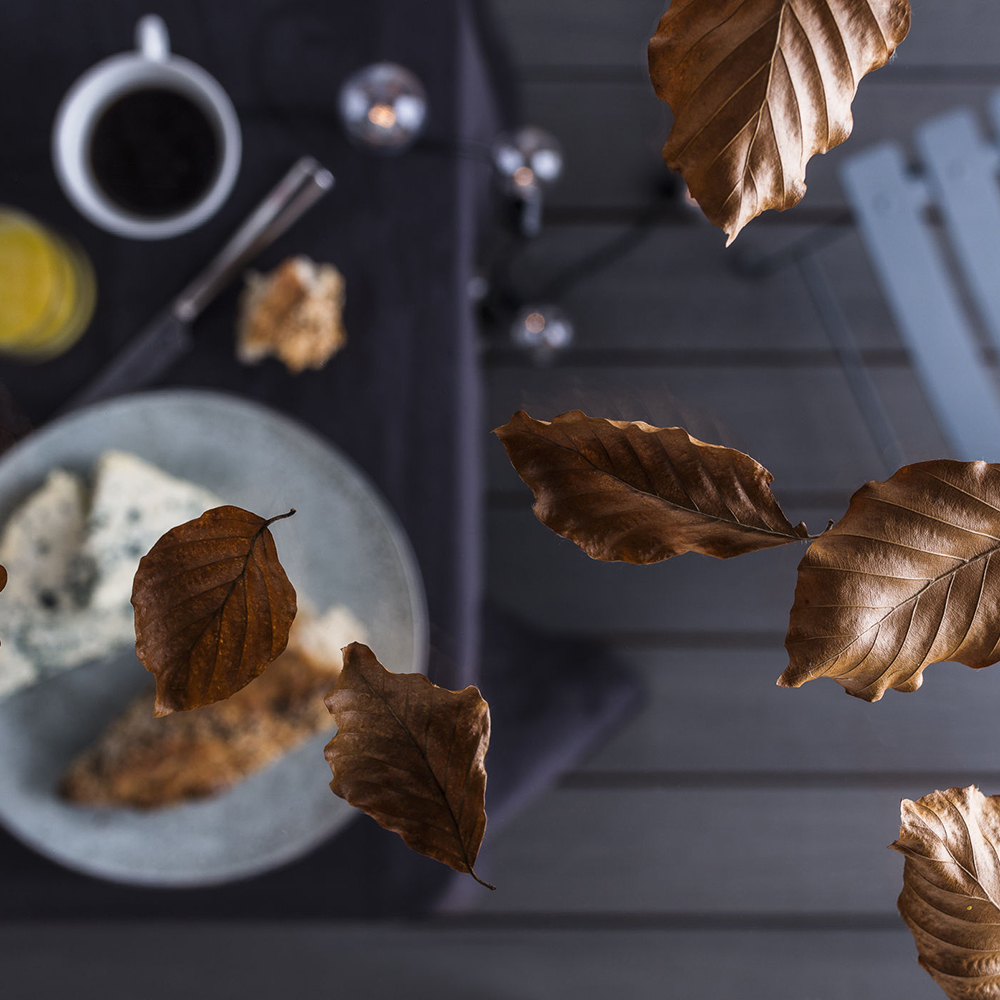 Takskivor Skyroof gop Komplett Pulpettak 10 mm Klar