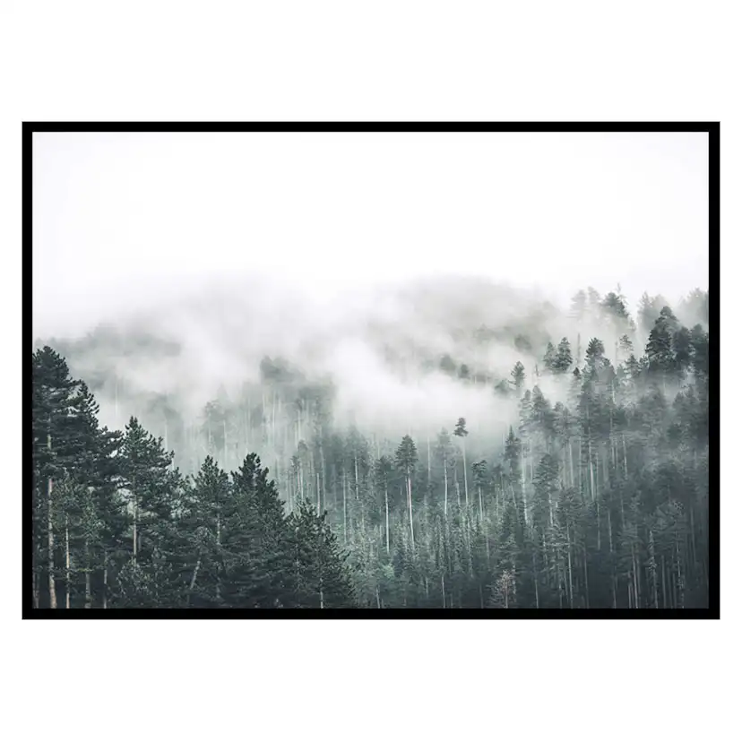 Poster Gallerix Forest Valley
