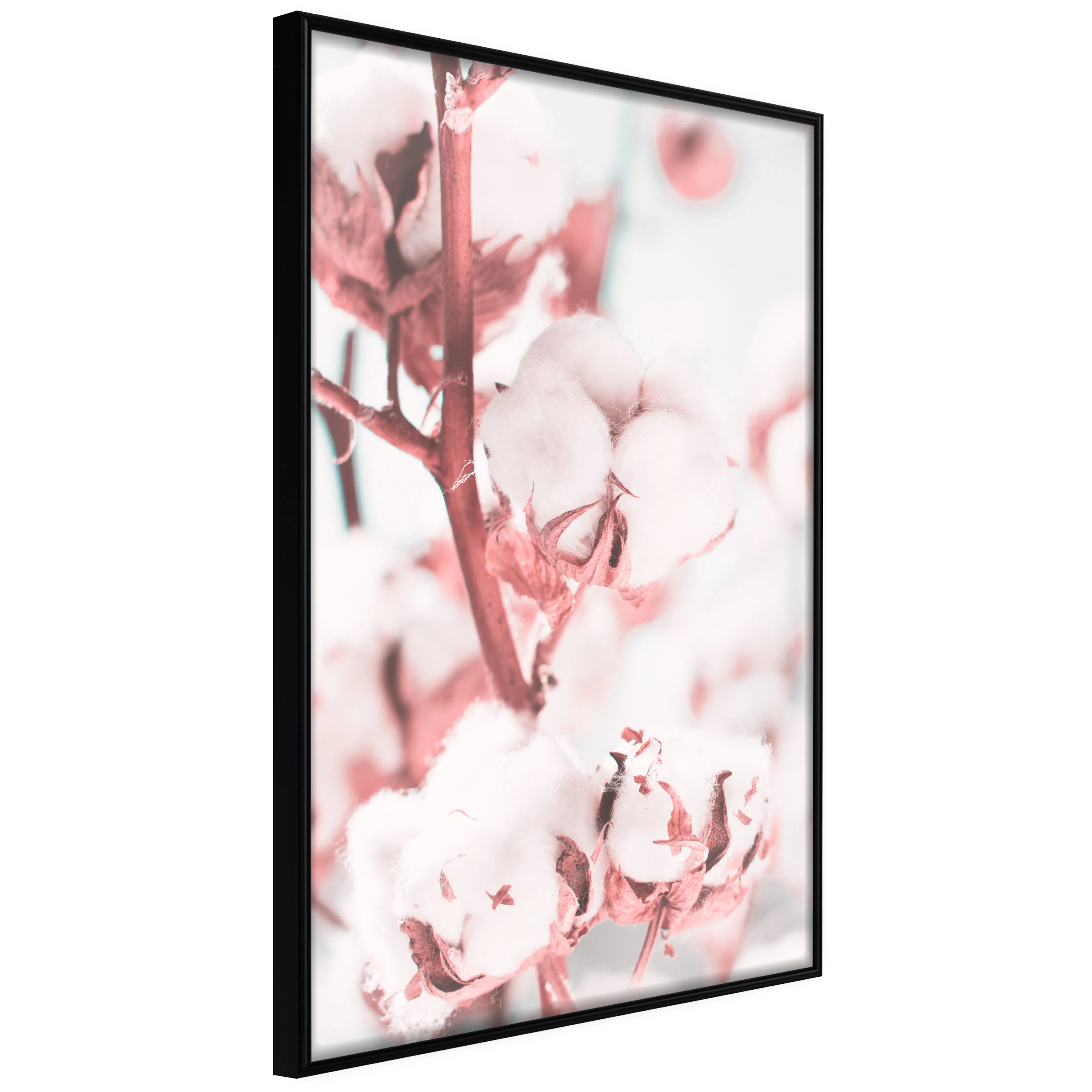 Affisch - Blooming Cotton [Poster] 30x45 Svart ram, 30x45 cm