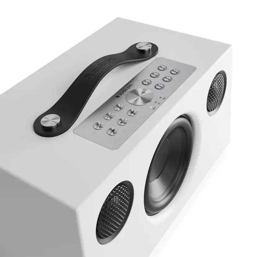 Högtalare Audio Pro C5 MK II