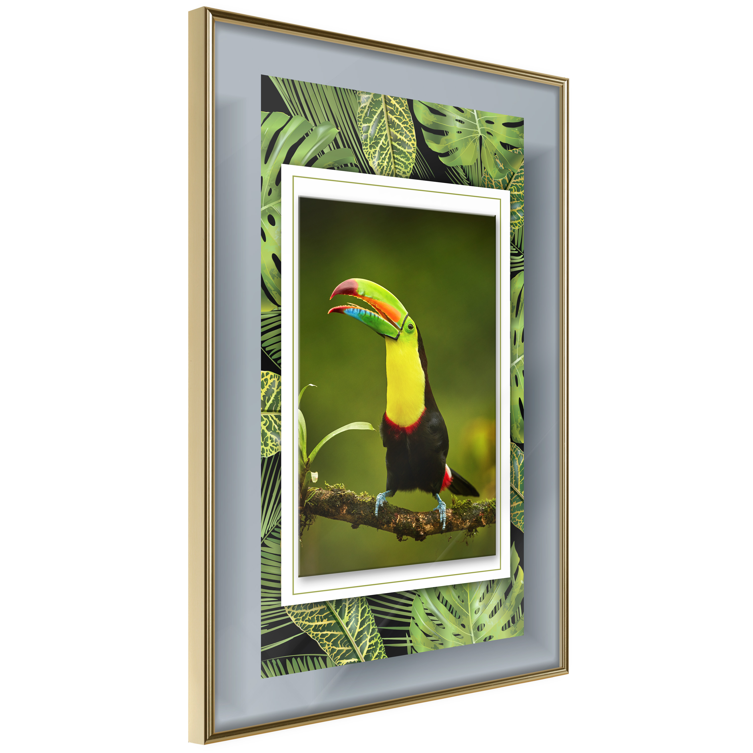 Poster Artgeist Affisch Toucan