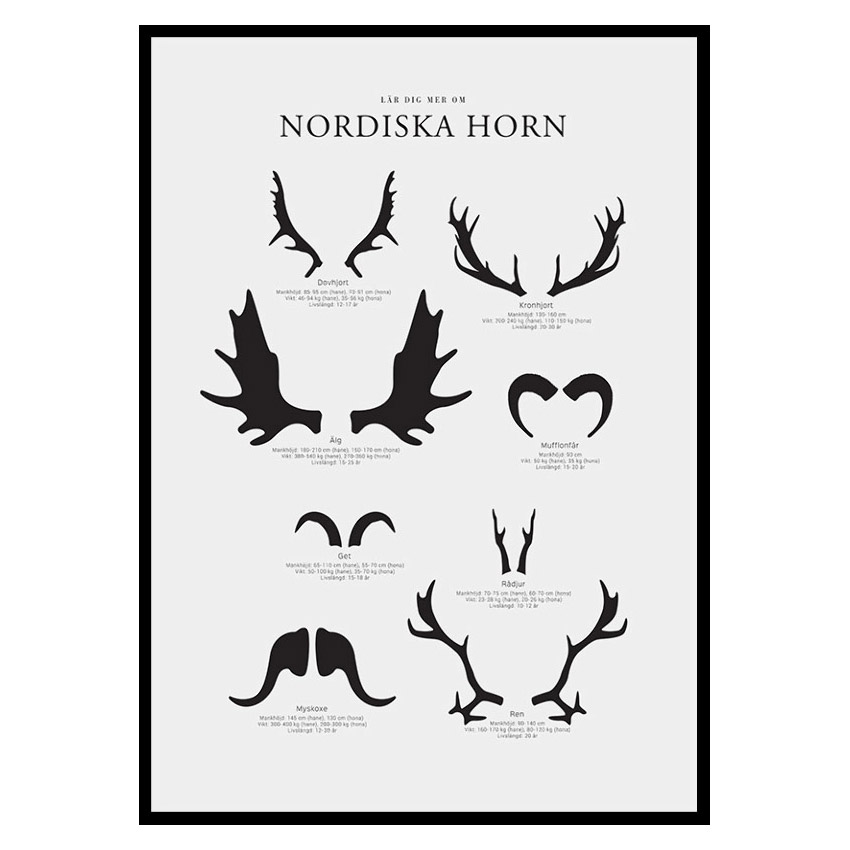 Poster Gallerix Nordiska Horn
