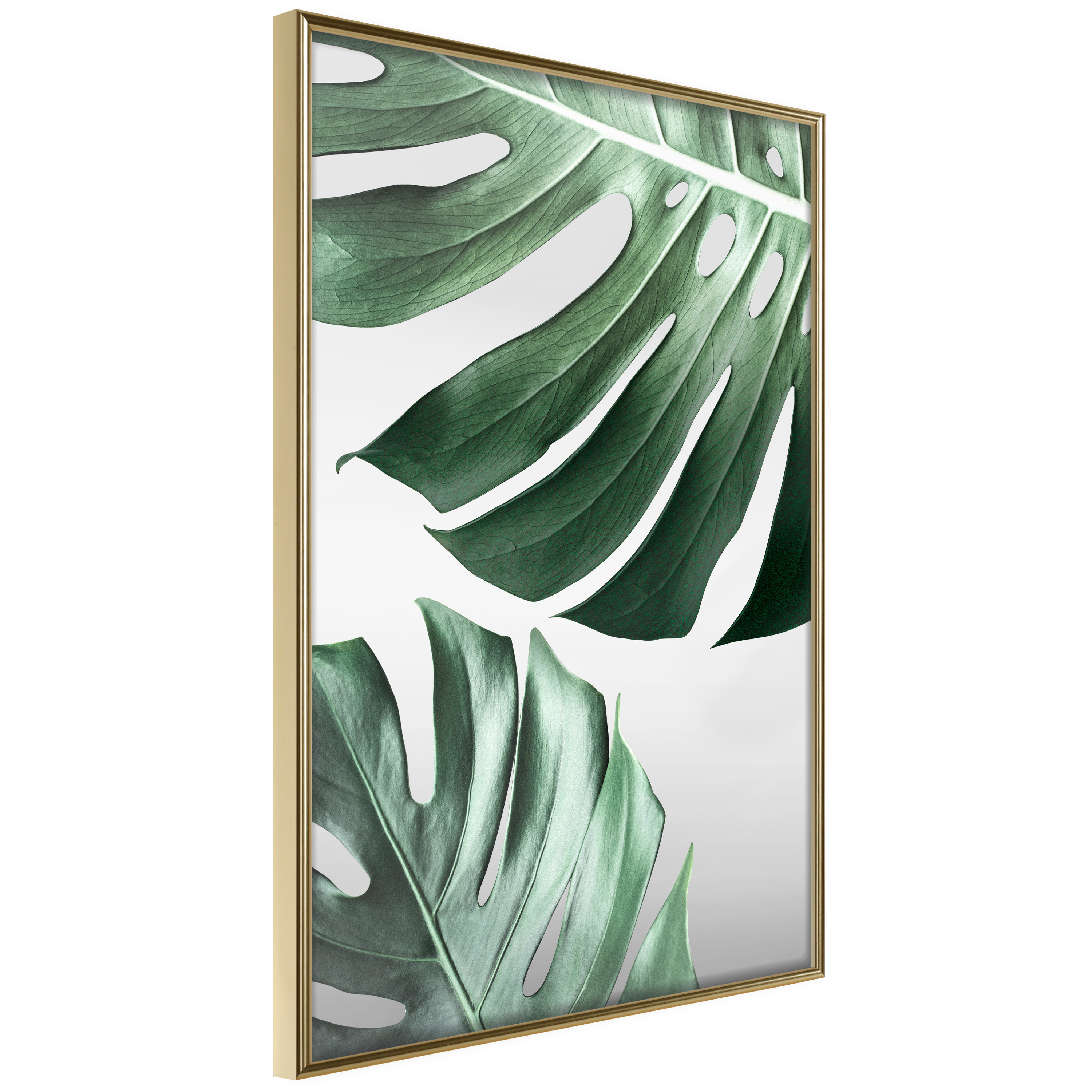 Affisch - Monstera Leaves [Poster] 40x60 Guld ram, 40x60 cm