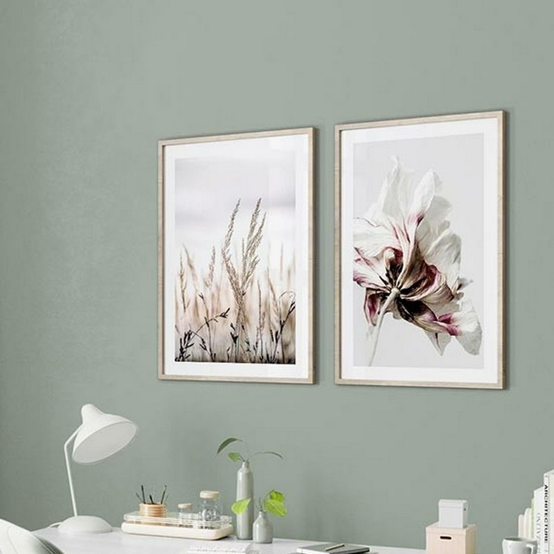 Poster Gallerix Anemone Flower